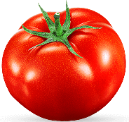 Tomato Error