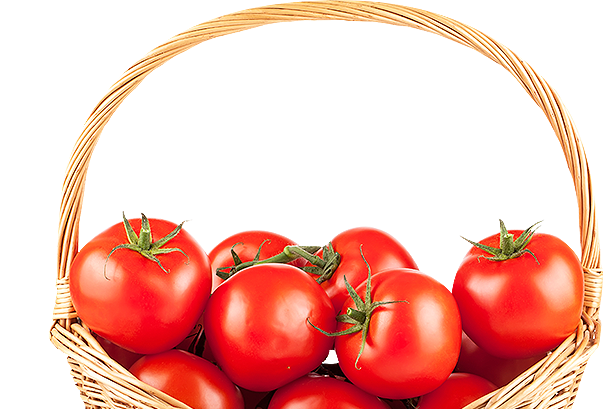 likopen-banner-tomato